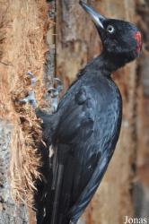 Zoologická Zahrada Ohrada