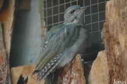 Zoologická Zahrada Ohrada