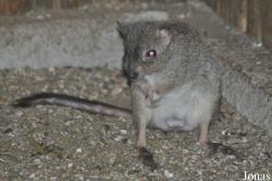 Zoologická Zahrada Ohrada