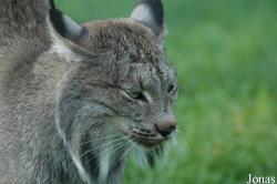 Zoologická Zahrada Tábor-Větrovy