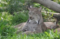 Zoologická Zahrada Tábor-Větrovy