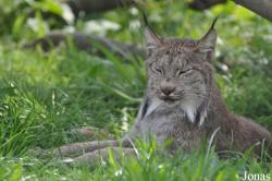 Zoologická Zahrada Tábor-Větrovy
