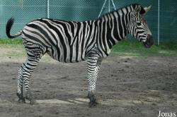 Zoologická Zahrada Tábor-Větrovy