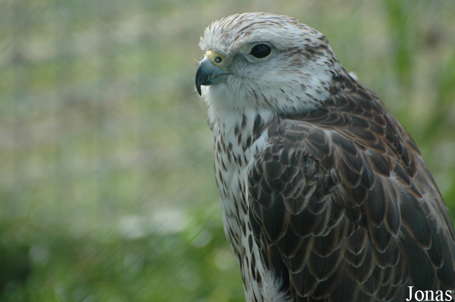Zoologická Zahrada Tábor-Větrovy