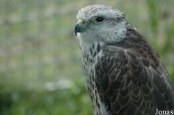 Zoologická Zahrada Tábor-Větrovy