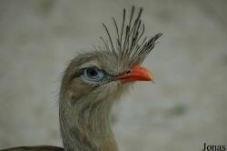 Selwo Aventura