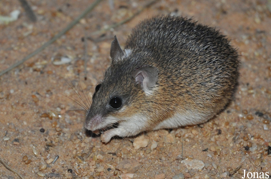 Zoologická a botanická zahrada města Plzně