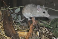 Zoologická a botanická zahrada města Plzně