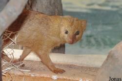 Zoologická a botanická zahrada města Plzně
