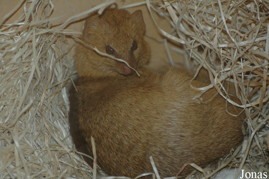 Zoologická a botanická zahrada města Plzně