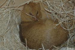 Zoologická a botanická zahrada města Plzně