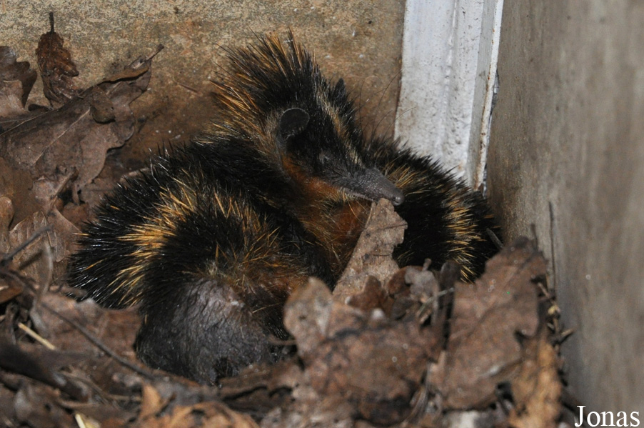 Zoologická a botanická zahrada města Plzně