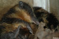 Zoologická a botanická zahrada města Plzně