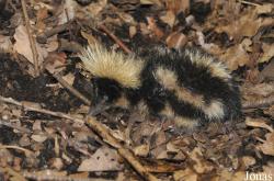 Zoologická a botanická zahrada města Plzně