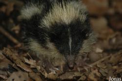 Zoologická a botanická zahrada města Plzně