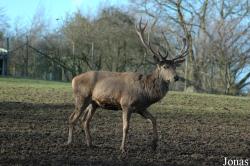 Parc Animalier de La Reid