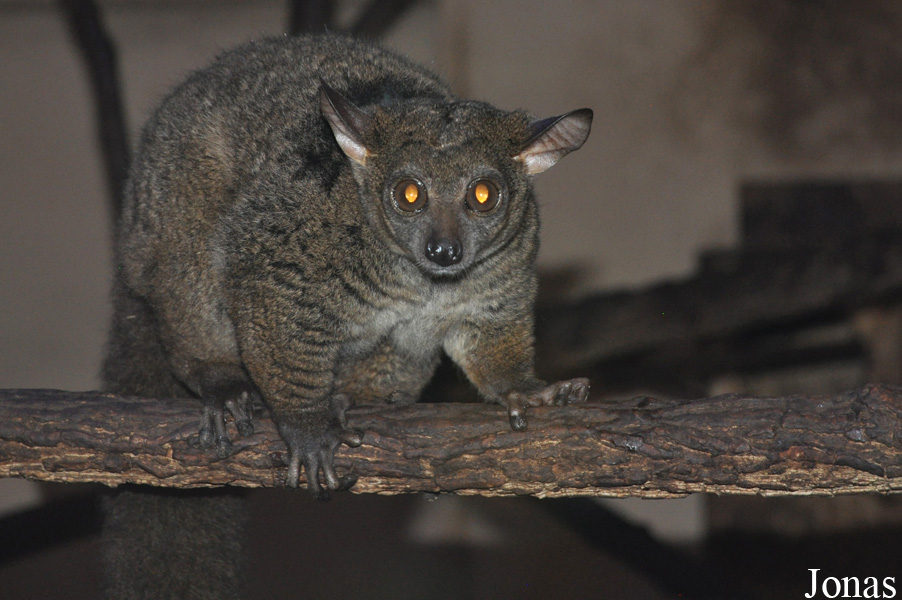 Zoologická a botanická zahrada města Plzně
