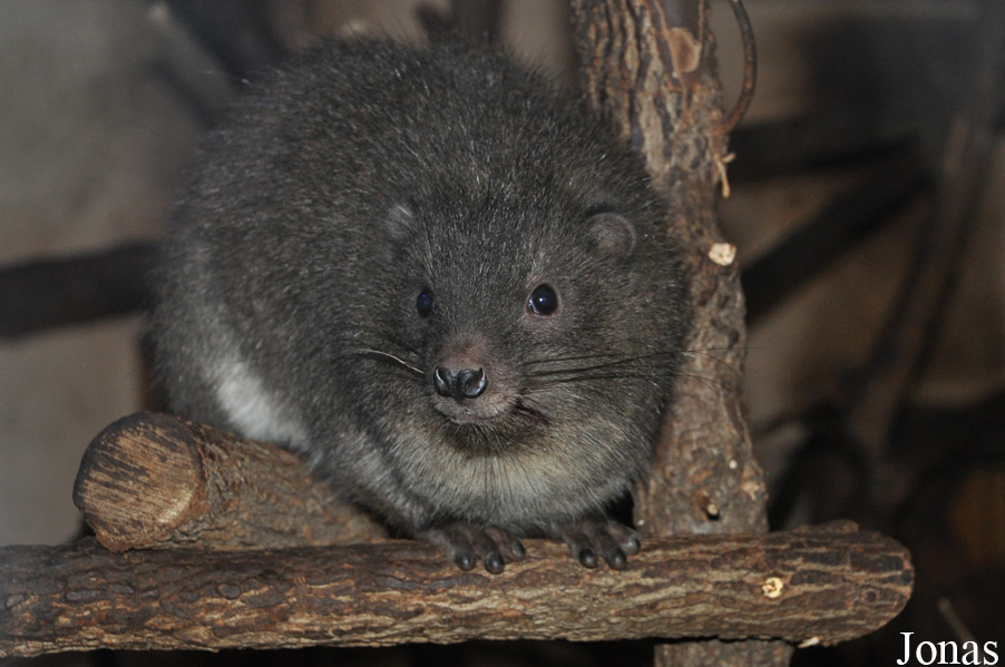 Zoologická a botanická zahrada města Plzně
