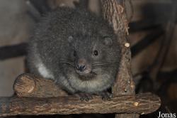Zoologická a botanická zahrada města Plzně