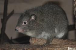 Zoologická a botanická zahrada města Plzně