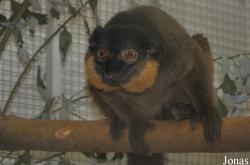 Zoologická a botanická zahrada města Plzně