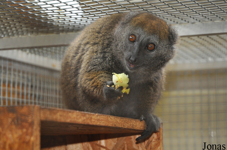 Zoologická a botanická zahrada města Plzně