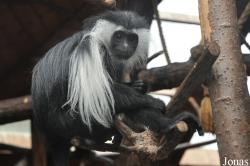 Zoologická a botanická zahrada města Plzně
