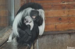 Zoologická a botanická zahrada města Plzně