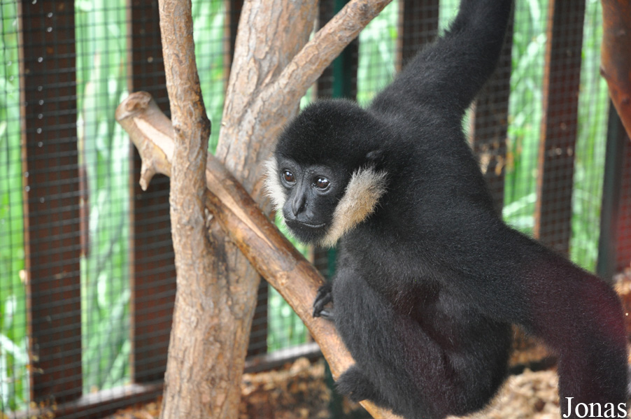 Zoologická a botanická zahrada města Plzně