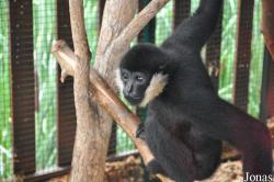 Zoologická a botanická zahrada města Plzně
