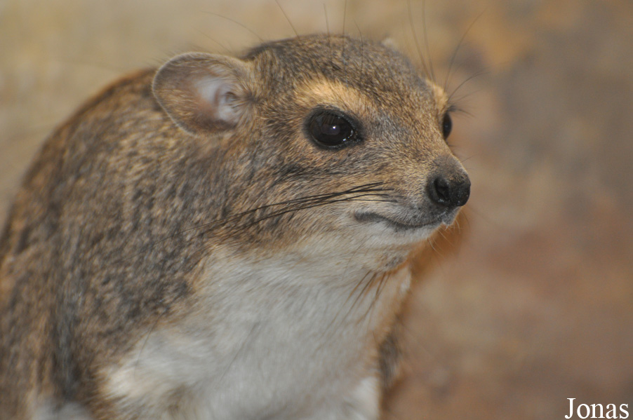 Zoologická a botanická zahrada města Plzně
