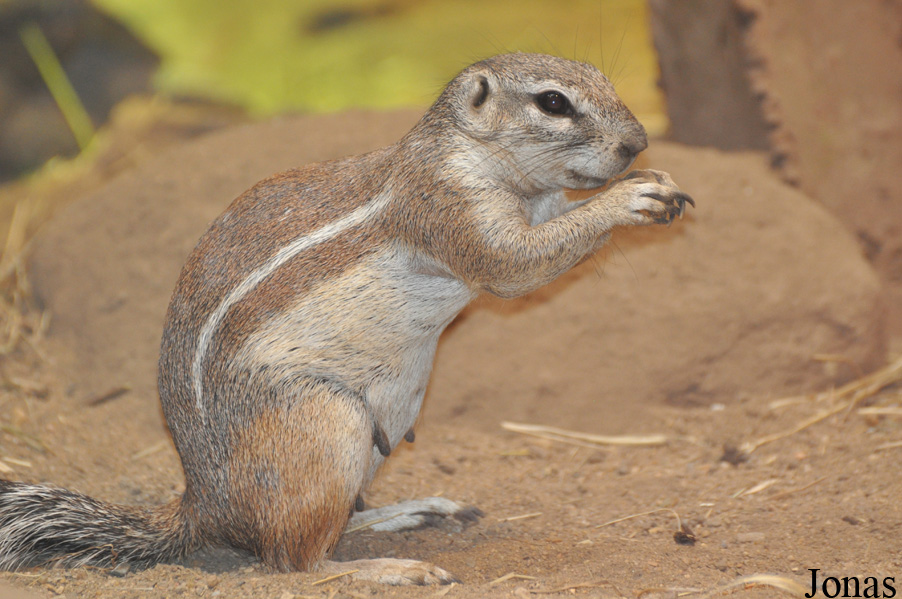 Zoologická a botanická zahrada města Plzně