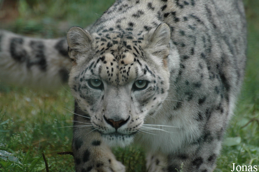 Zoologická a botanická zahrada města Plzně