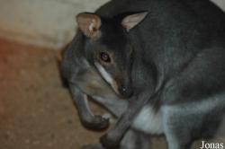 Zoologická a botanická zahrada města Plzně
