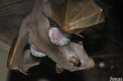 Zoologická a botanická zahrada města Plzně