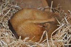 Zoologická a botanická zahrada města Plzně