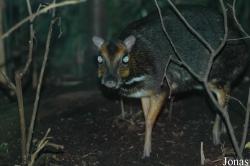 Zoologická a botanická zahrada města Plzně