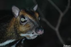 Zoologická a botanická zahrada města Plzně