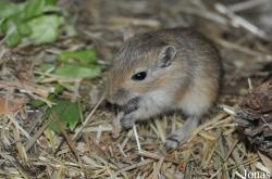 Zoologická a botanická zahrada města Plzně