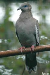 Zoologická a botanická zahrada města Plzně