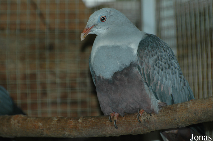 Zoologická a botanická zahrada města Plzně