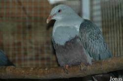 Zoologická a botanická zahrada města Plzně