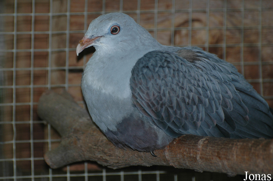 Zoologická a botanická zahrada města Plzně