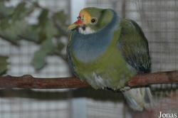 Zoologická a botanická zahrada města Plzně
