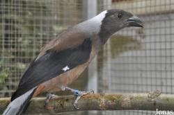 Zoologická a botanická zahrada města Plzně