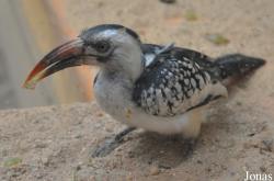 Zoologická a botanická zahrada města Plzně