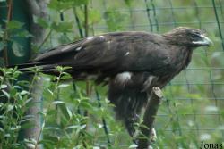 Zoologická a botanická zahrada města Plzně