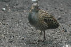 Zoologická a botanická zahrada města Plzně