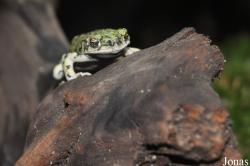 Zoologická a botanická zahrada města Plzně