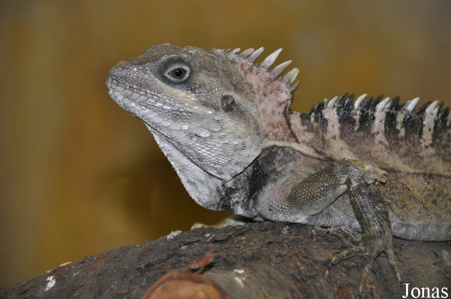 Terarium Praha